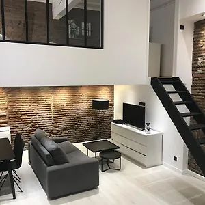 ô Briques De Appartement Toulouse